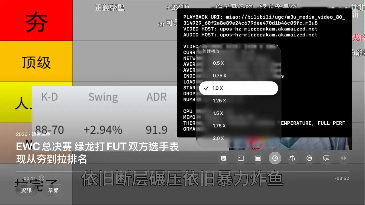 播放速度設置